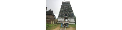 082. திருப்பாலைத்துறை